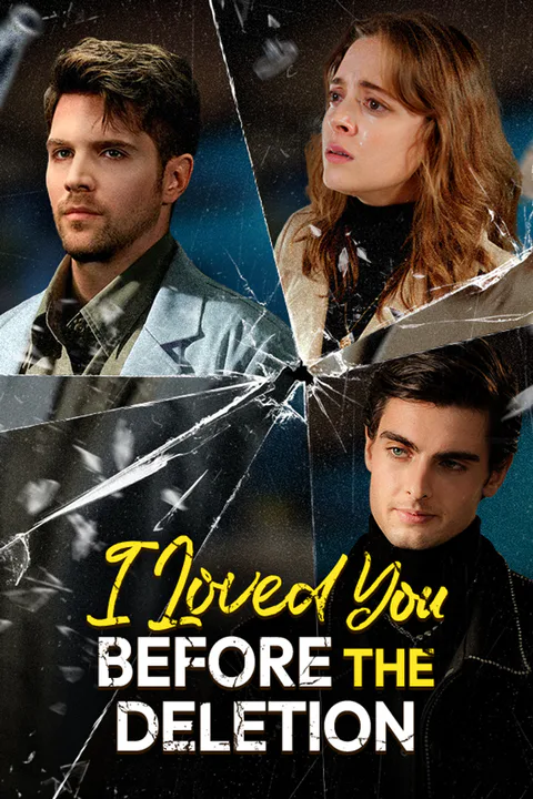 I Loved You, Before the Deletion poster