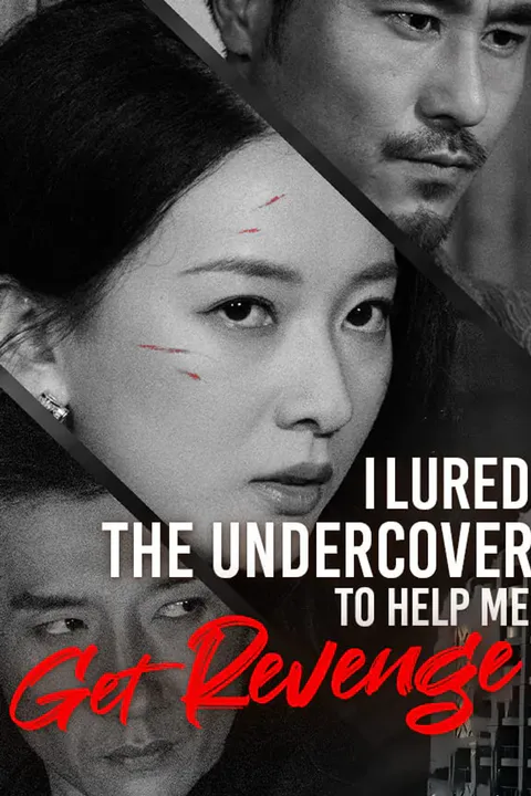 I Lured the Undercover to Help Me Get Revenge poster