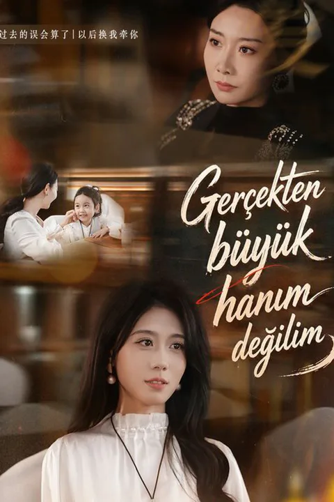 I'm Not the Missing Heiress poster