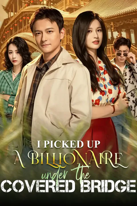 I picked up a billionaire under the covered bridge poster