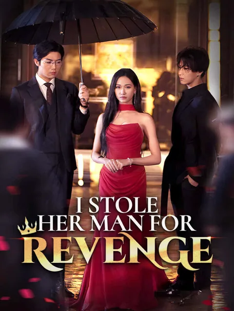 I Stole Her Man for Revenge poster