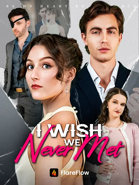 I Wish We Never Met poster