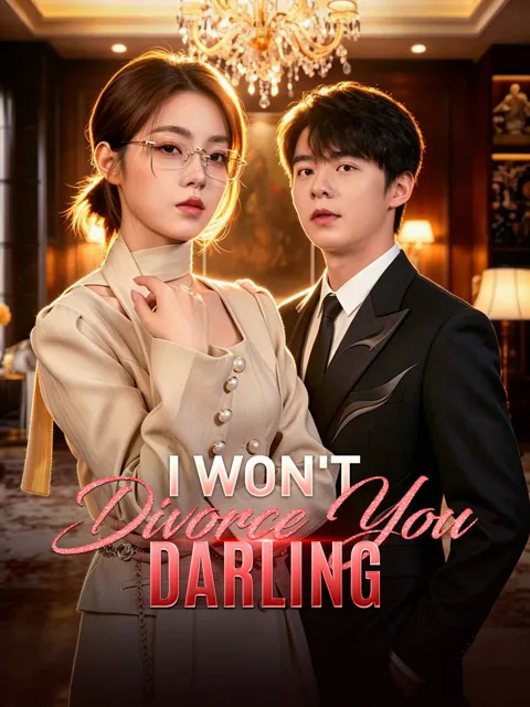 I Won't Divorce You, Darling poster