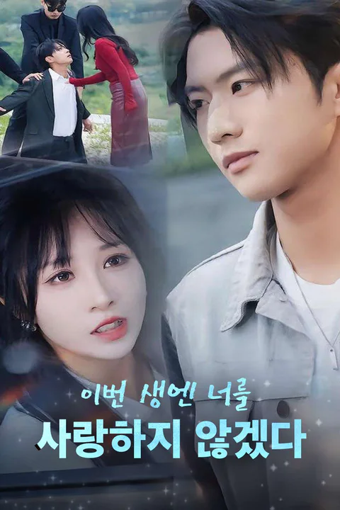 이번 생엔 너를 사랑하지 않겠다 포스터