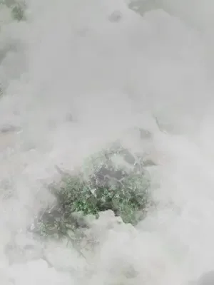 İblis çocuk annesini koruyor afişi