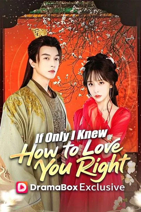 If Only I Knew How to Love You Right poster