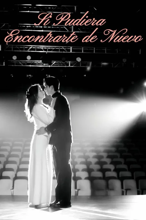If Only We Could Meet Again poster