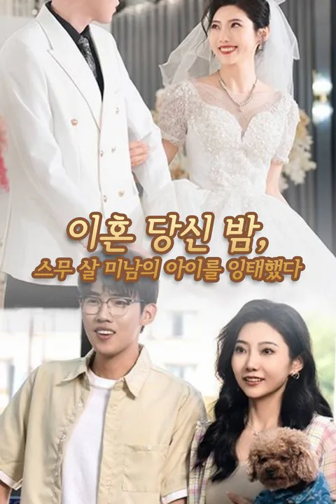 이혼 당신 밤, 스무 살 미남의 아이를 잉태했다 포스터