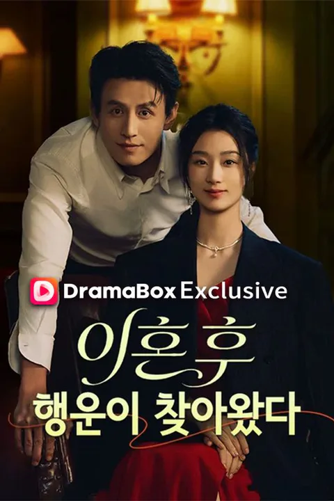 이혼 후 행운이 찾아왔다 (더빙) 포스터