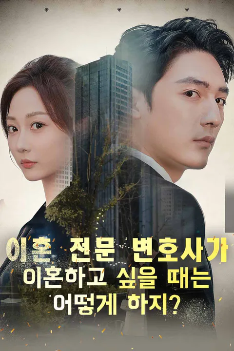 이혼 전문 변호사가 이혼하고 싶을 때는 어떻게 하지? 포스터