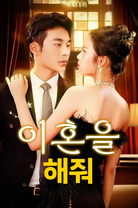 이혼을 해줘 포스터