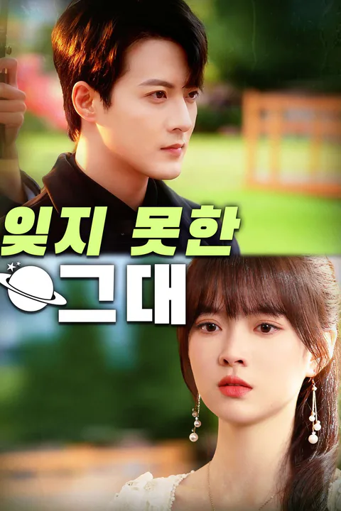 잊지 못한 그대 포스터