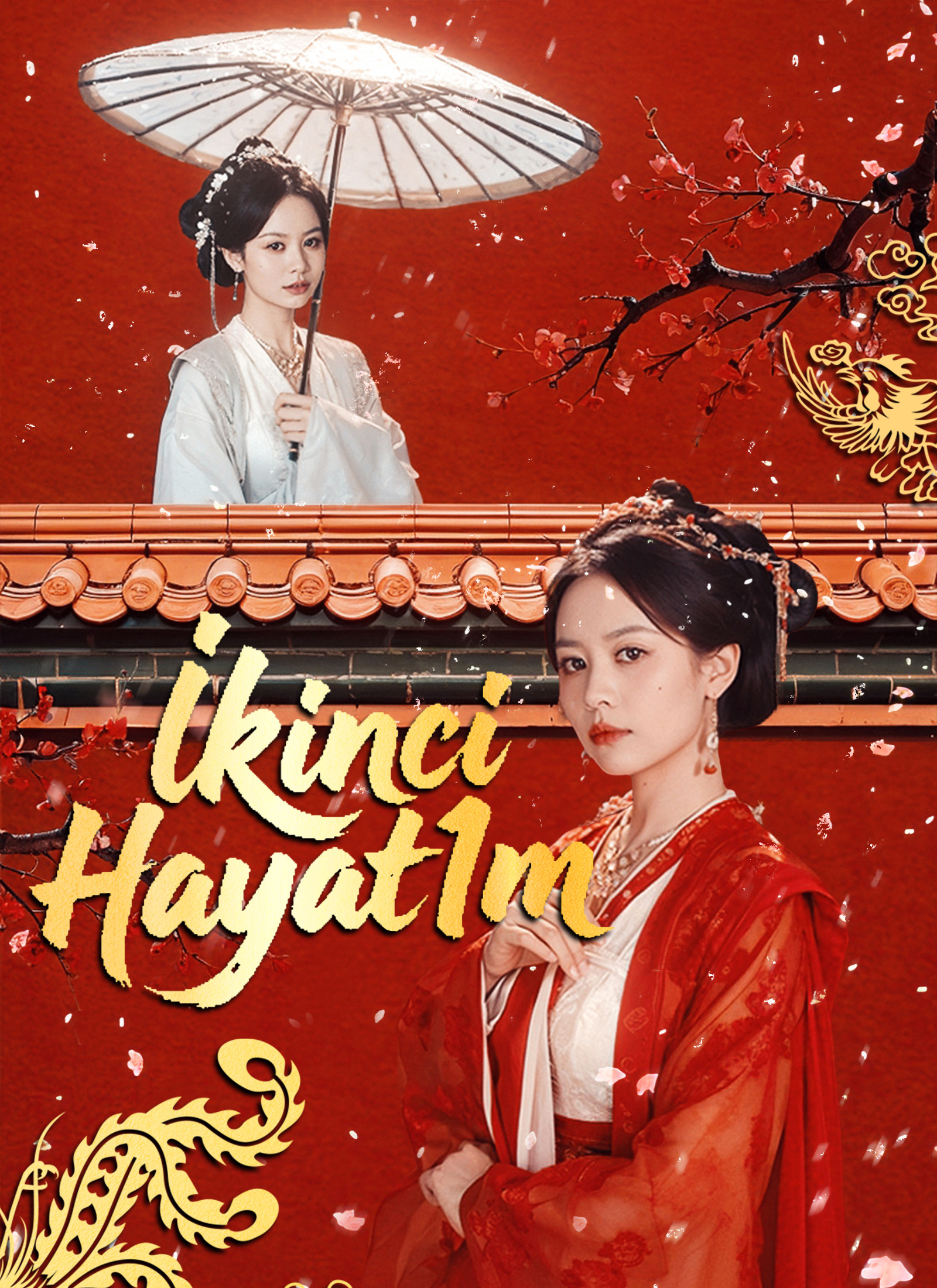 İkinci Hayatım afişi
