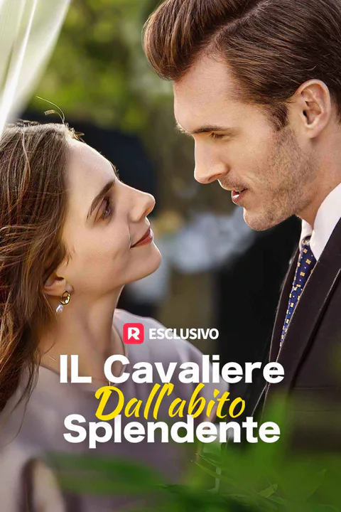 Locandina di Il cavaliere dall'abito splendente