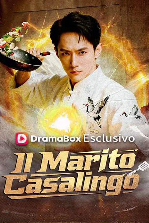 Locandina di Il Marito Casalingo