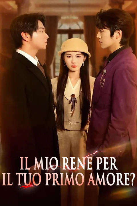 Locandina di Il mio rene per il tuo primo amore?