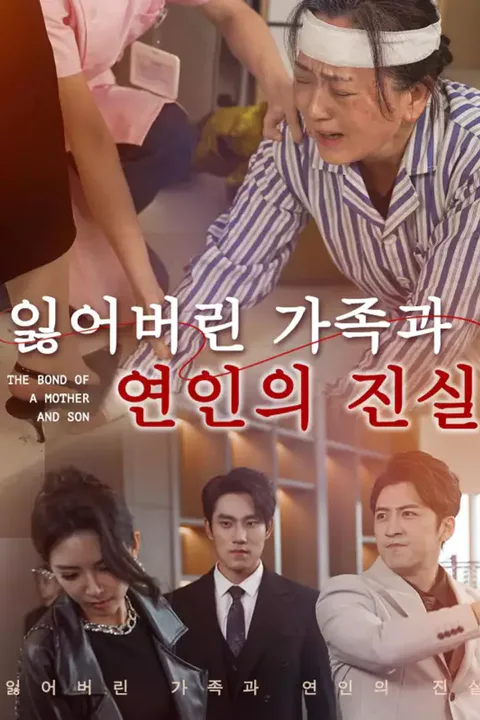 잃어버린 가족과 연인의 진실 포스터