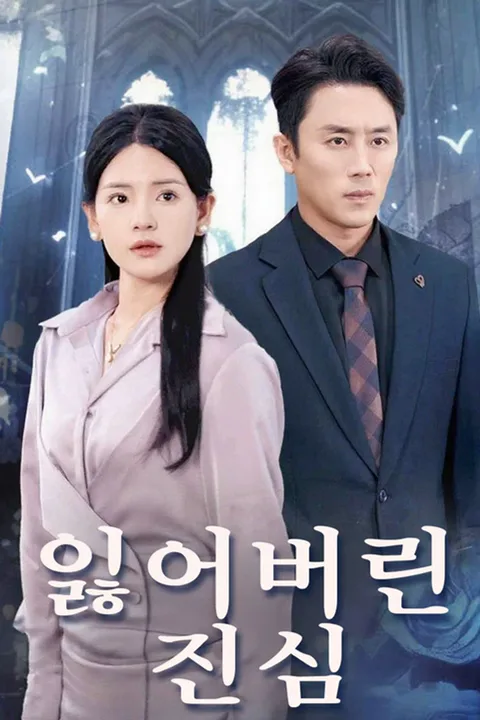 잃어버린 진심 포스터