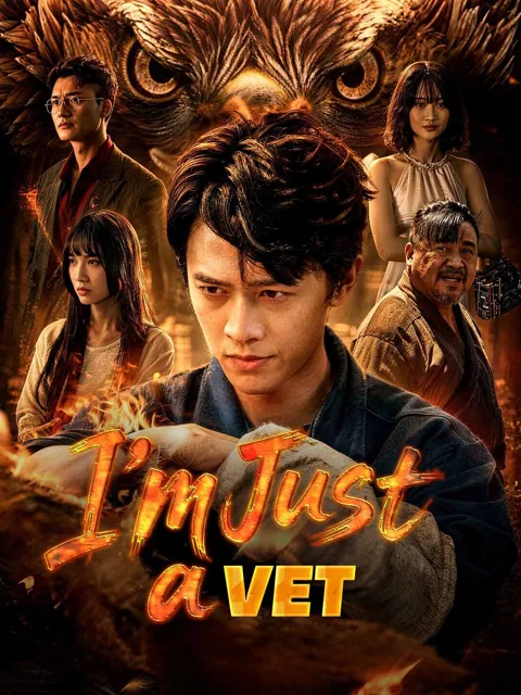 I‘m Just a Vet poster