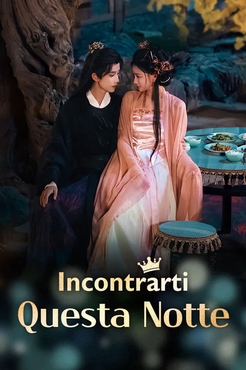 Locandina di Incontrarti Questa Notte