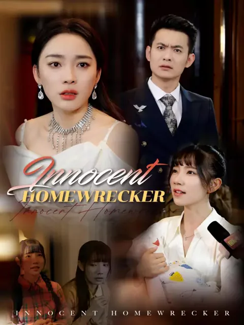 Innocent Homewrecker poster
