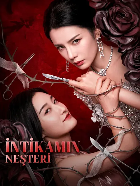 İNTİKAMIN NEŞTERİ afişi