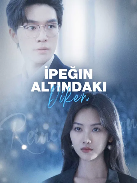 İpeğin Altındaki Diken afişi