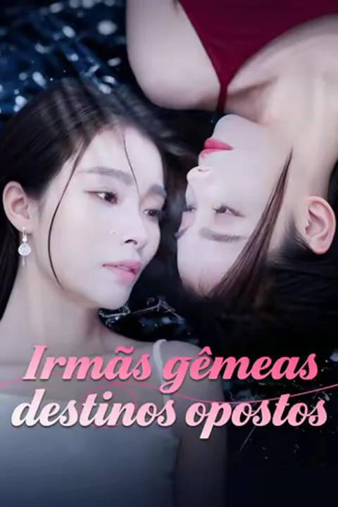 Pôster de (Dublado) Irmãs gêmeas destinos opostos