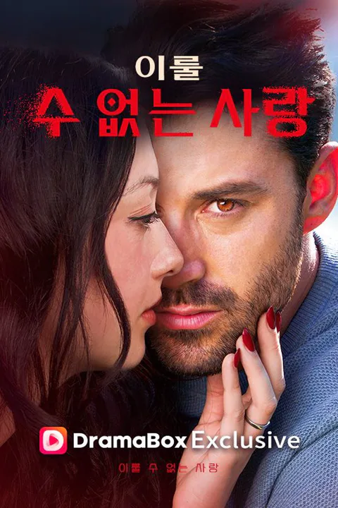 이룰 수 없는 사랑 포스터