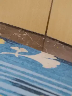 İşten çıkarılamayan ulusal usta afişi