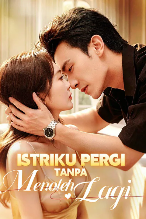 Poster Istriku Pergi Tanpa Menoleh Lagi