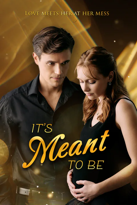 It's Meant To Be poster