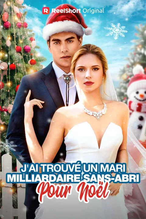 Affiche de J'ai trouvé un mari milliardaire sans-abri pour Noël