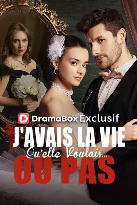 Affiche de J'avais la Vie Qu'elle Voulais... Ou Pas