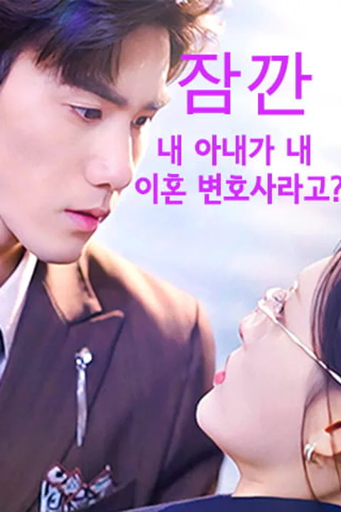 잠깐, 내 아내가 내 이혼 변호사라고? 포스터