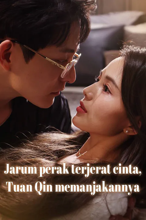 Poster Jarum perak terjerat cinta, Tuan Qin memanjakannya