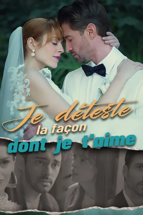 Affiche de Je déteste la façon dont je t'aime