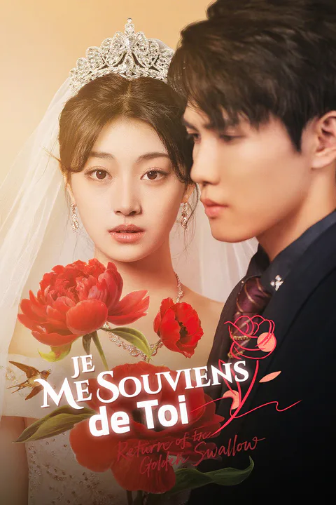 Affiche de Je Me Souviens de Toi