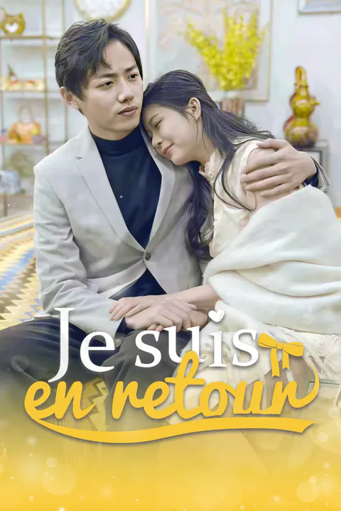 Affiche de Je suis en retour