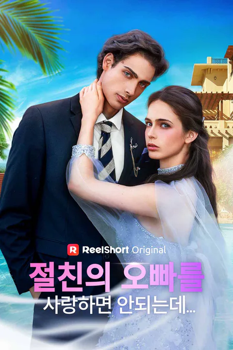 절친의 오빠를 사랑하면 안되는데… 포스터