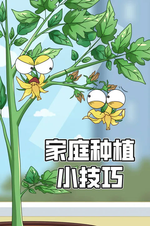 《家庭种植小技巧》海报