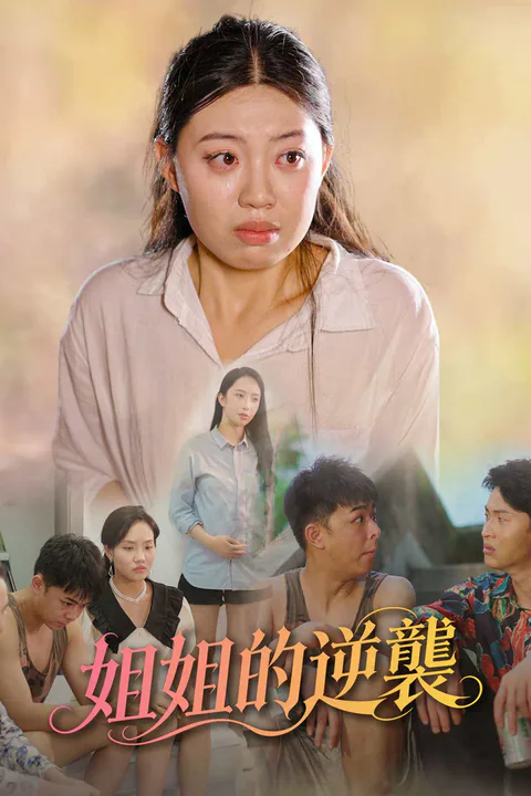 《姐姐的抚恤金》海報