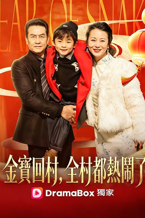 《金寶回村，全村都熱鬧了》海報