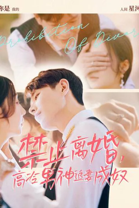 《禁止离婚，高冷男神追妻成奴》海报