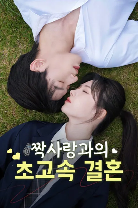 짝사랑과의 초고속 결혼 포스터