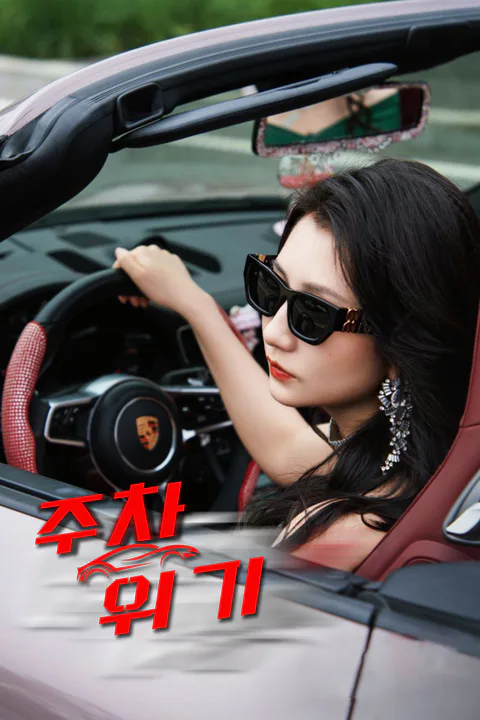 주차 위기 포스터