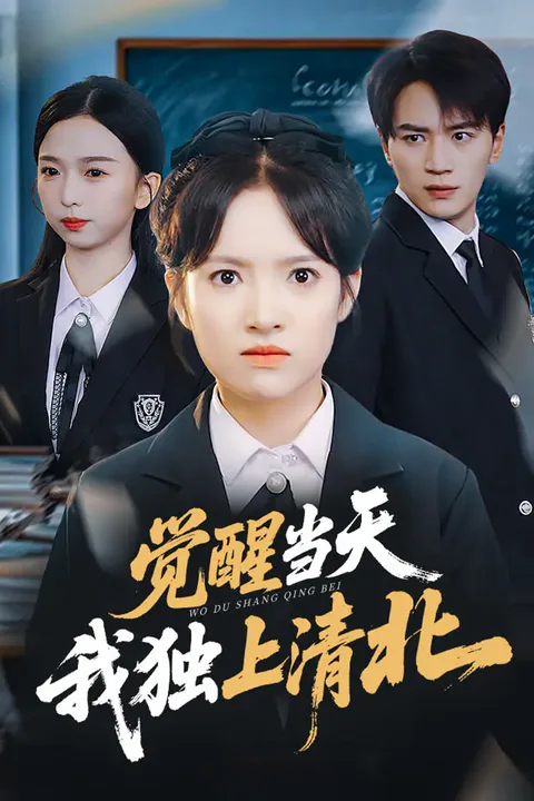 《觉醒当天，我独上清北》海报