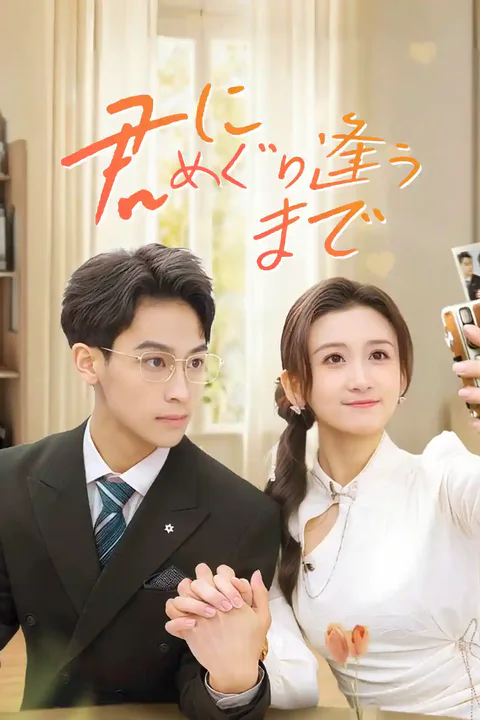 君にめぐり逢うまでのポスター