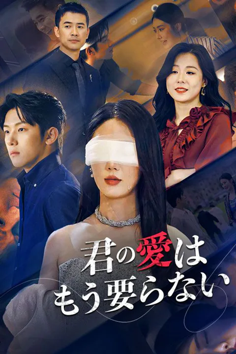 君の愛はもう要らないのポスター