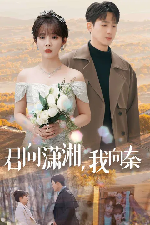 《君向瀟湘，我向秦》海報